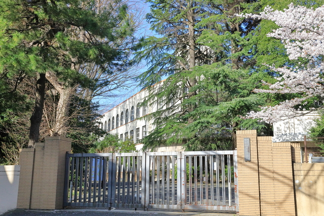 T5kiseki03